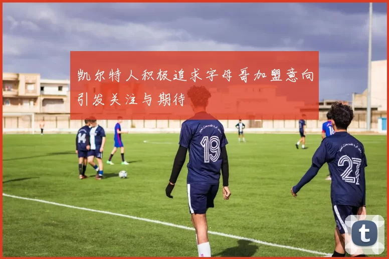 凯尔特人积极追求字母哥加盟意向引发关注与期待